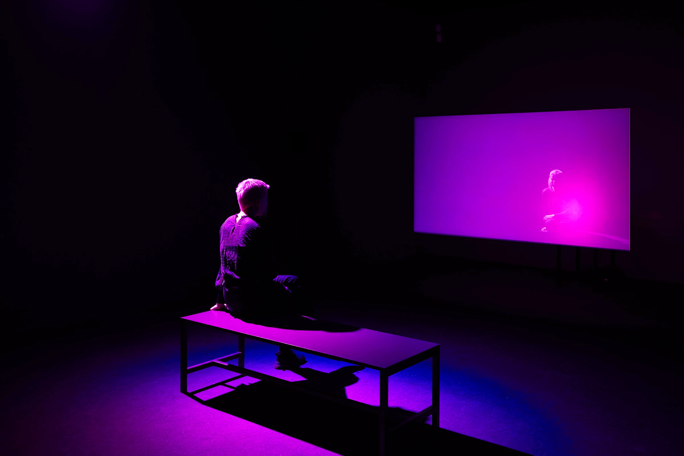 Joe Namy 'Purple Bodies in Translation' Installation Nottingham Contemporary 